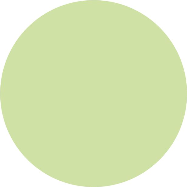 PRIPRAVLJENA BARVA JUB JUPOL JUNIOR DRAGON GREEN 330 2.5 L