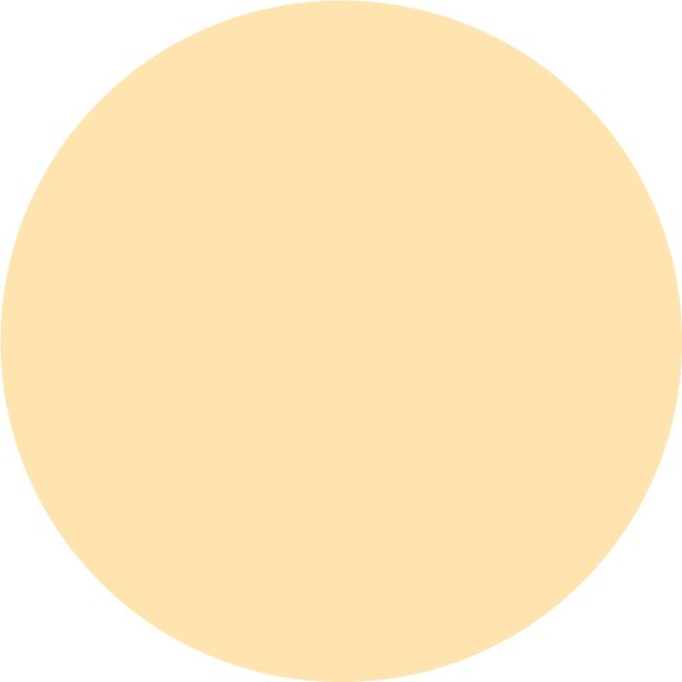 PRIPRAVLJENA BARVA JUB JUPOL JUNIOR GOLDEN STAR 320 2.5 L