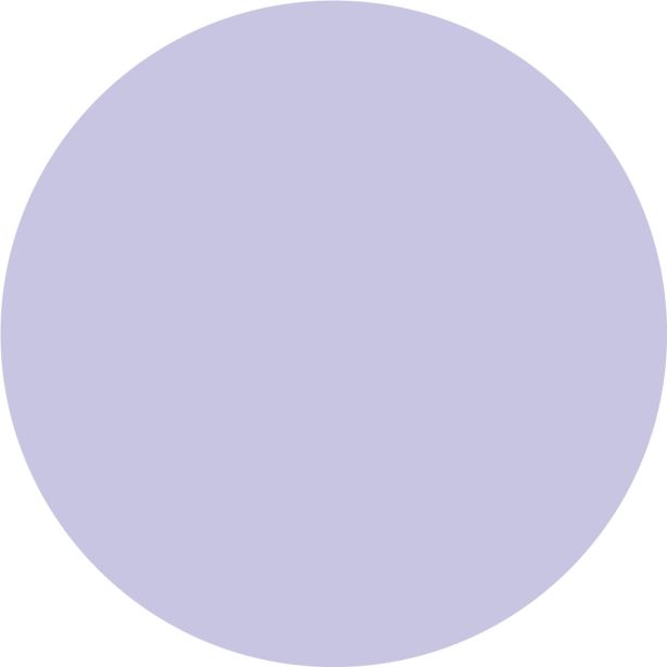 PRIPRAVLJENA BARVA JUB JUPOL JUNIOR MISS LILY 380 2.5 L