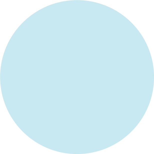 PRIPRAVLJENA BARVA JUB JUPOL JUNIOR SKY HERO 350 2.5 L