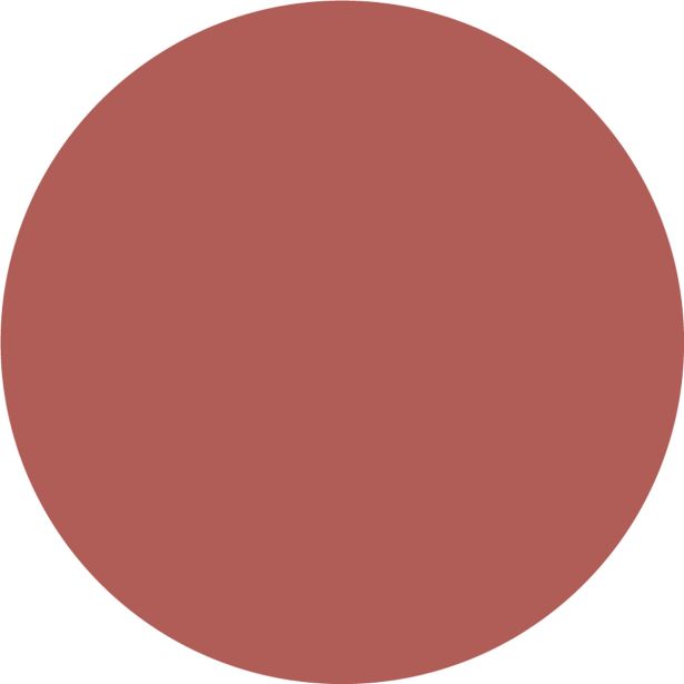 PRIPRAVLJENA BARVA JUB JUPOL TREND MERLOT 425 2.5 L