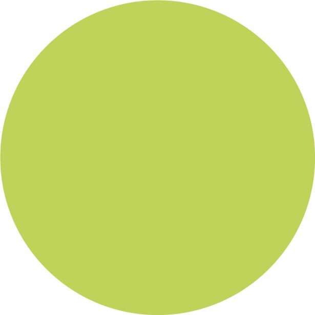 PRIPRAVLJENA BARVA JUB JUPOL TREND OLIVE 452 2.5 L