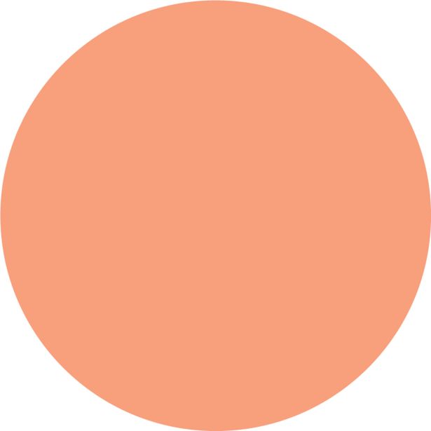 PRIPRAVLJENA BARVA JUB JUPOL TREND PAPAYA 411 2.5 L