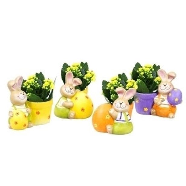 KALANHOJA ZAJČEK L7