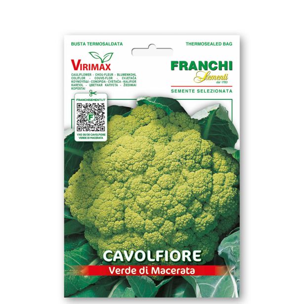 KAPUSNICA FRANCHI SEMENTI CVETAČA VERDE MACERATA VXO 30/30
