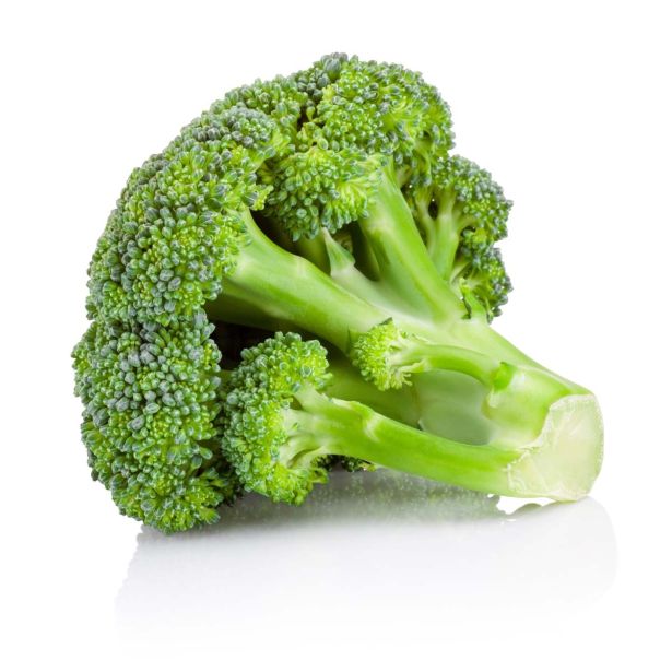 KAPUSNICE BROKOLI GREEN MAGIC F1 PRECOCE KULTIPAK