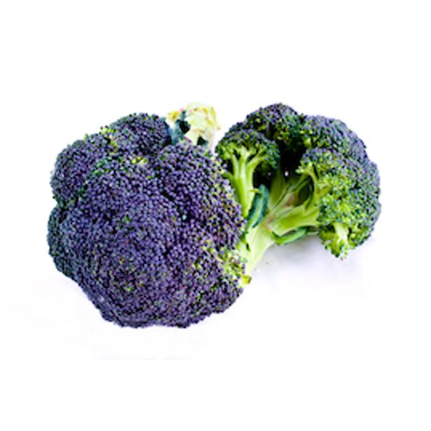 KAPUSNICE BROKOLI L10 CM