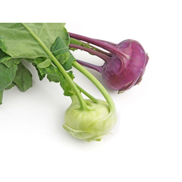 KAPUSNICE KOLERABICA 6 KOS