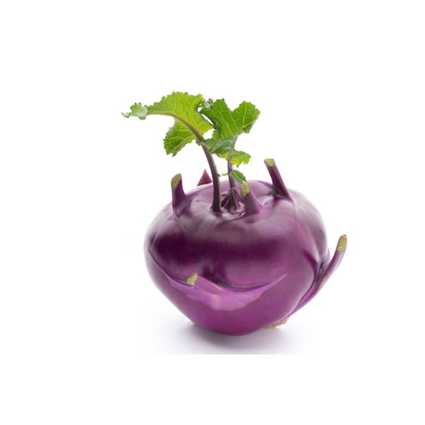 KAPUSNICE KOLERABICA KOLIBRI F1 L10 CM