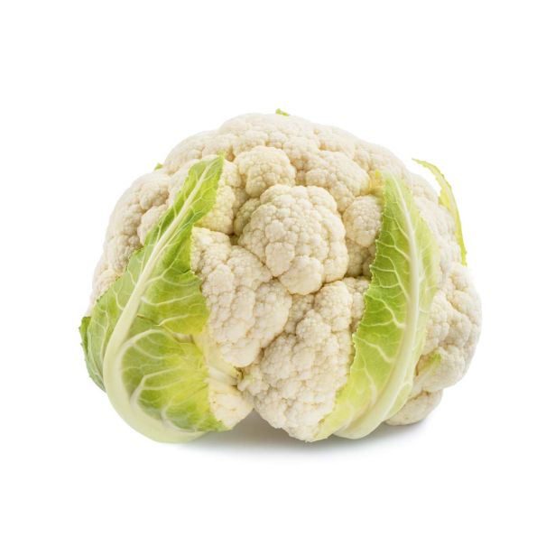 KAPUSNICE L'ORTO FRUTTIFERO CVETAČA 4/1 CLIPPER F1 KULTIPAK