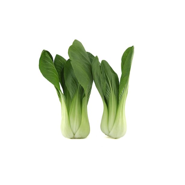 KAPUSNICE PAK-CHOI L10 CM