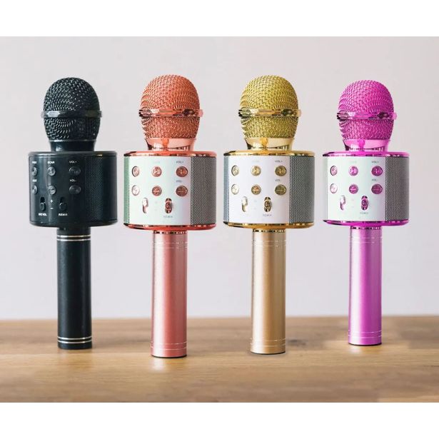 KARAOKE FOREVER BMS-300 LITE MIKROFON + ZVOČNIK