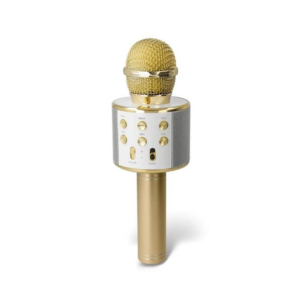 KARAOKE FOREVER BMS-300 LITE MIKROFON + ZVOČNIK