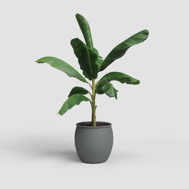 KERAMIČNI NOTRANJI LONEC ARTEVASI ARTEMIS 29 CM ANTRACIT