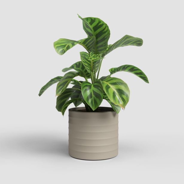 KERAMIČNI NOTRANJI LONEC ARTEVASI CHLOE 21 CM BEŽ