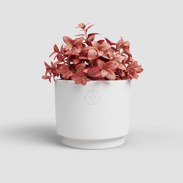 KERAMIČNI NOTRANJI LONEC ARTEVASI ECHO 22 CM BEL