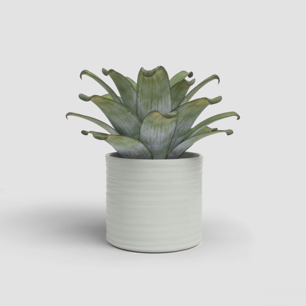 KERAMIČNI NOTRANJI LONEC ARTEVASI FORTUNA 25 CM KREM