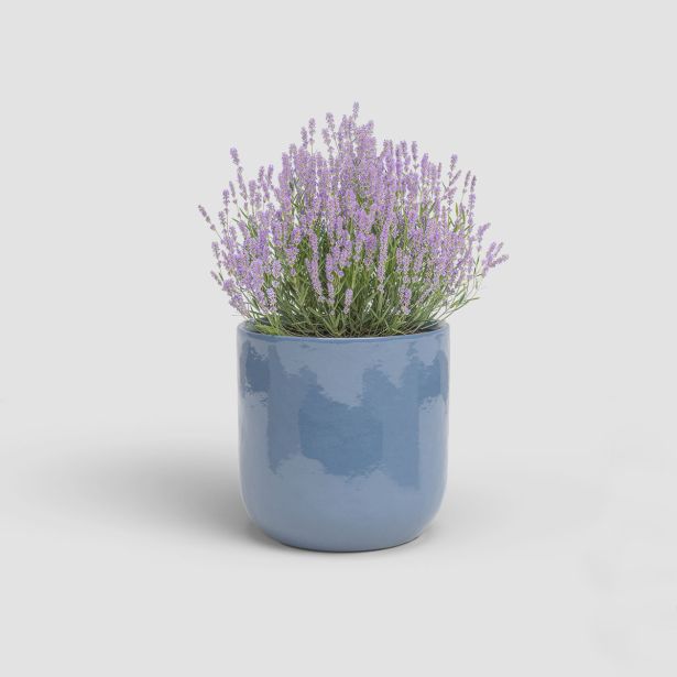 KERAMIČNI NOTRANJI LONEC ARTEVASI JUPITER 20 CM MODER