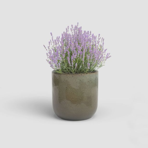 KERAMIČNI NOTRANJI LONEC ARTEVASI JUPITER 20 CM RJASTO ZELEN