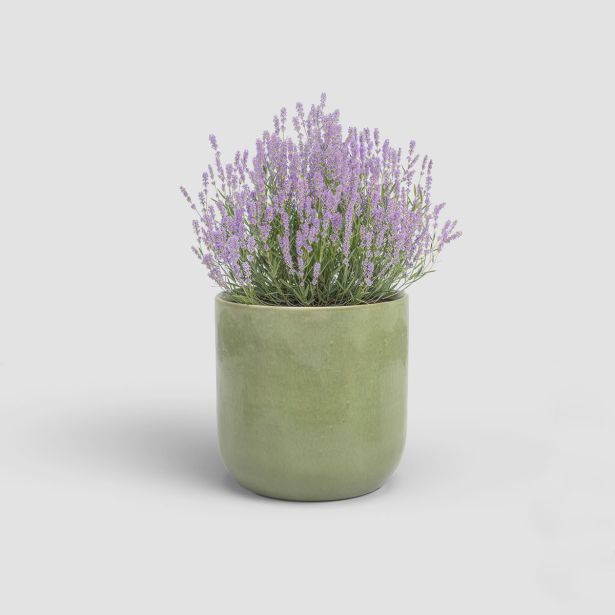 KERAMIČNI NOTRANJI LONEC ARTEVASI JUPITER 20 CM ZELEN