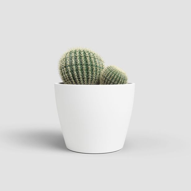 KERAMIČNI NOTRANJI LONEC ARTEVASI NUBIA 9 CM BEL