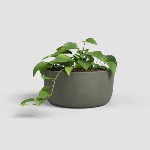 KERAMIČNI NOTRANJI LONEC ARTEVASI URANIA SKLEDA 30CM OLIVNO ZELENA