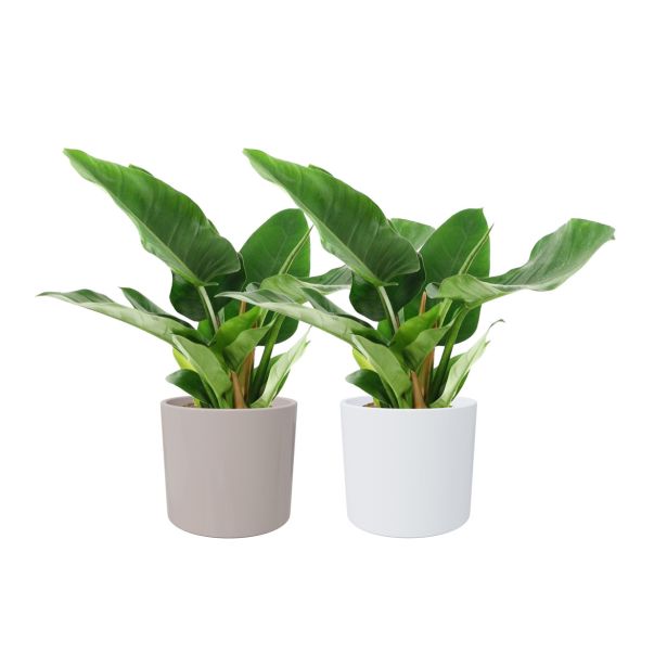 KERAMIČNI NOTRANJI LONEC EVA 195 BEL GLOSS 195X175 MM ZA L17