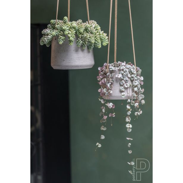 POTTERY POTS, KERAMIČNI NOTRANJI LONEC, SIV