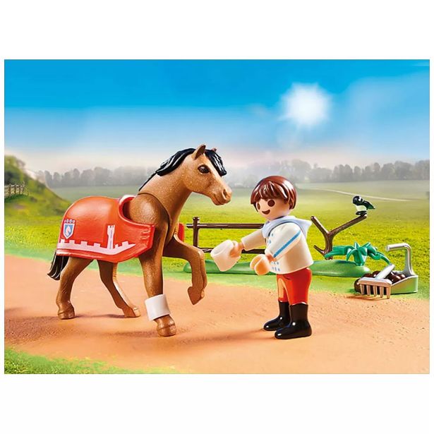KOCKE PLAYMOBIL CONNEMARA PONI 70516
