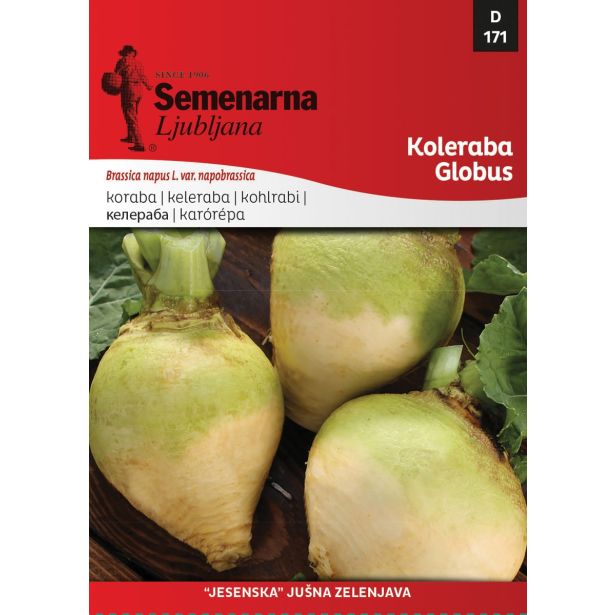 KORENOVKA SEMENARNA KOLERABA GLOBUS V MALI VREČICI 171