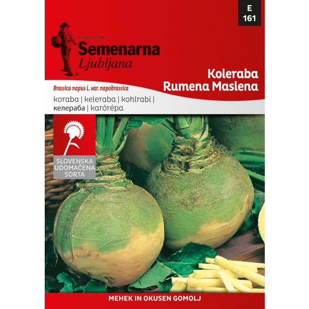 KORENOVKA SEMENARNA KOLERABA RUMENA MASLENA M.VREČKA 161