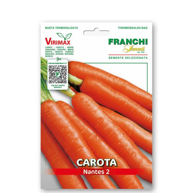 KORENOVKA FRANCHI SEMENTI KORENJE NANTES