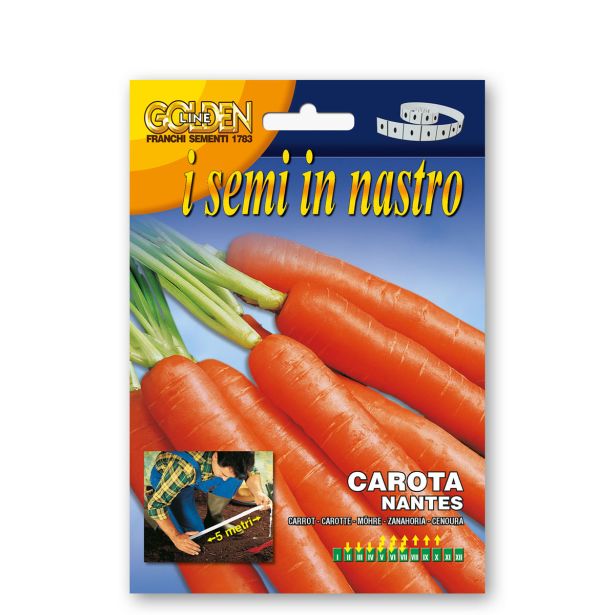 KORENOVKA FRANCHI SEMENTI KORENJE NANTES NA TRAKU