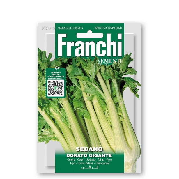 KORENOVKA FRANCHI SEMENTI LISTNA ZELENA GIGANTE DORATO