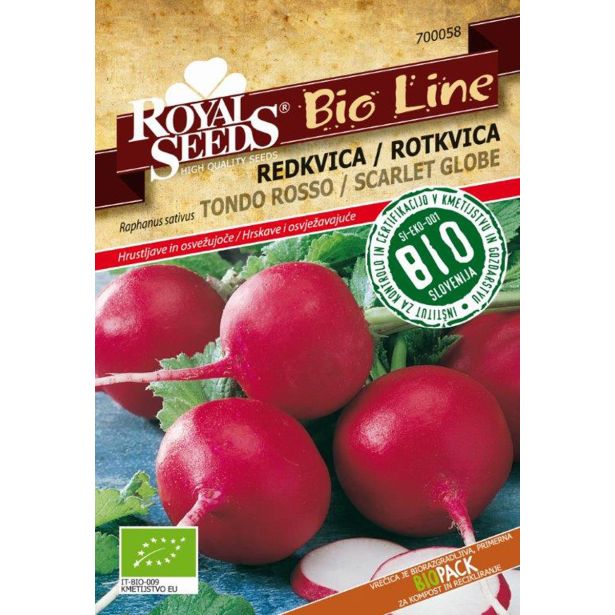 KORENOVKA ROYAL SEEDS REDKEV LUNGO BIANCO