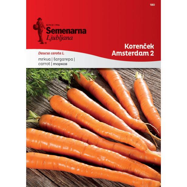 KORENOVKA SEMENARNA KORENČEK AMSTERDAM 2 180