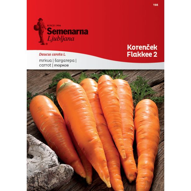 KORENOVKA SEMENARNA KORENČEK FLAKKEE 2 198