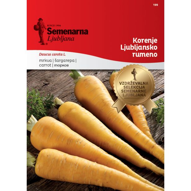 KORENOVKA SEMENARNA KORENJE LJUBLJANSKO RUMENO 199