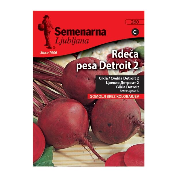 KORENOVKA SEMENARNA RDEČA PESA DETRIOT V MALI VREČICI 260