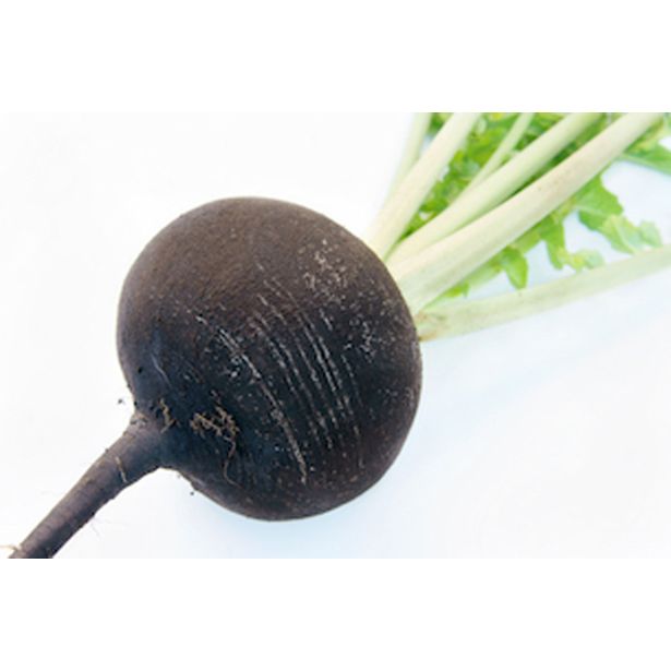 KORENOVKE REDKEV 6 KOS