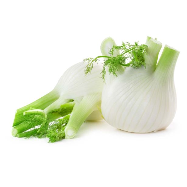 ZELENJAVNA SADIKA L'ORTO FRUTTIFERO KOROMAČ 8/1 MONTEBIANCO KULTIPAK