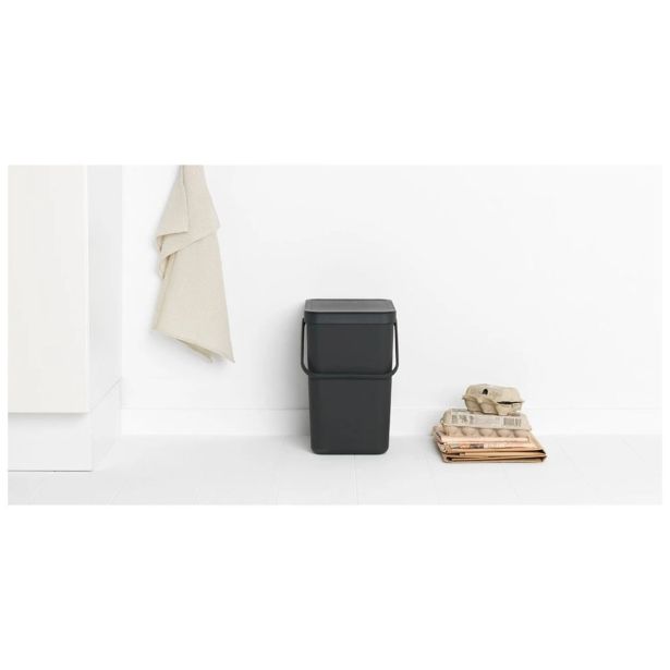 KOŠ ZA SMETI BRABANTIA SORT & GO 25 L SIV