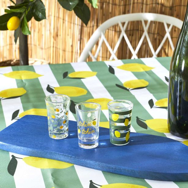 KOZAREC ZA ŽGANJE HOME DECO 40 ML DEKORIRANI 3/1