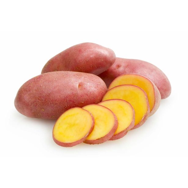 ZELENJAVNA SADIKA L'ORTO FRUTTIFERO KROMPIR RUMENI 4/1 GIALLA DESIREE KULTIPAK