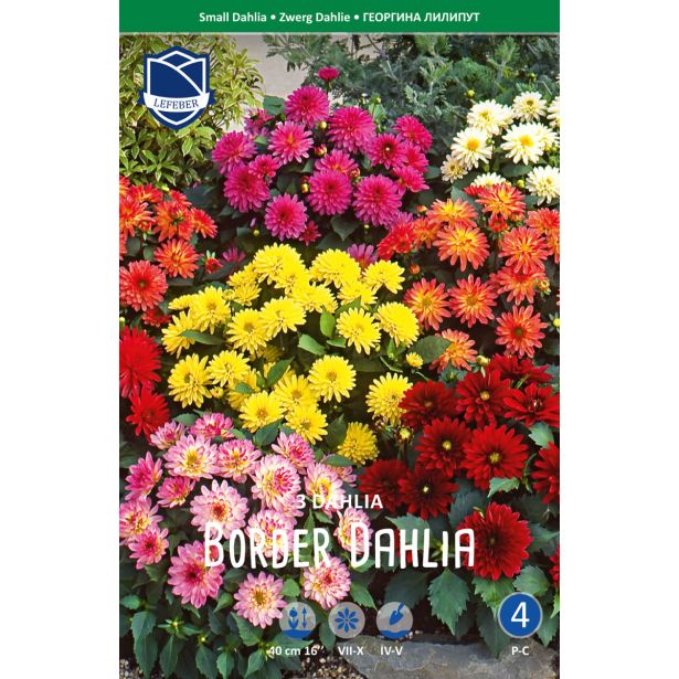 L DALIJA NIZKA MEŠANICA