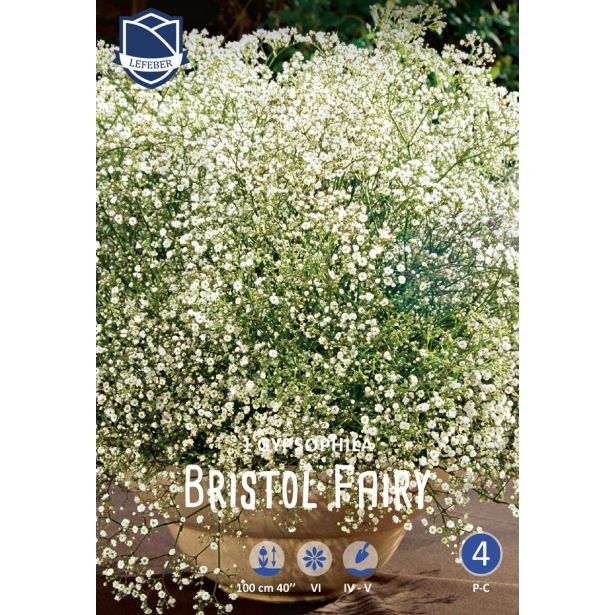 L ŠLAJER BRISTOL FAIRY