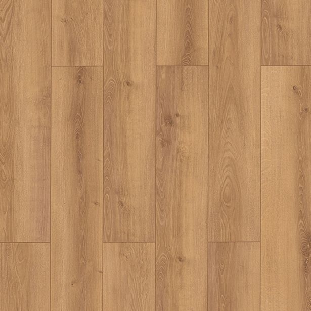 LAMINAT, 8MM, 33. RAZRED CLASSEN WR 65363 HRAST RIETI 10/33 4V 100H M-LOC