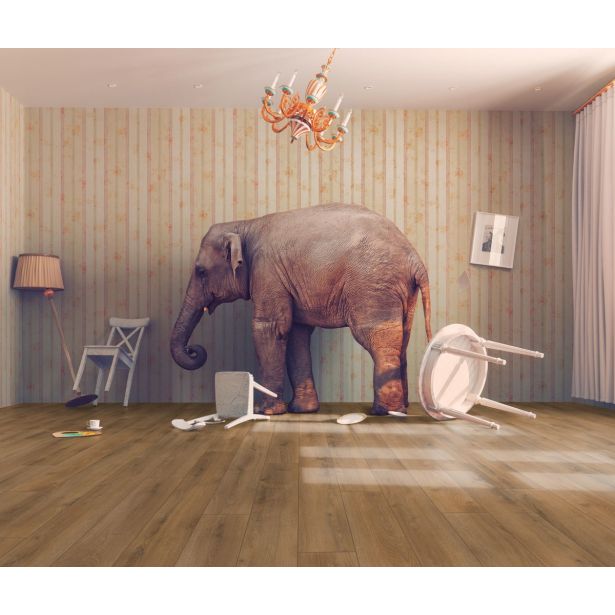 LAMINAT, 8MM, 32. RAZRED KRONOTEX DYNAMIC P. HRAST ELBE D 3901