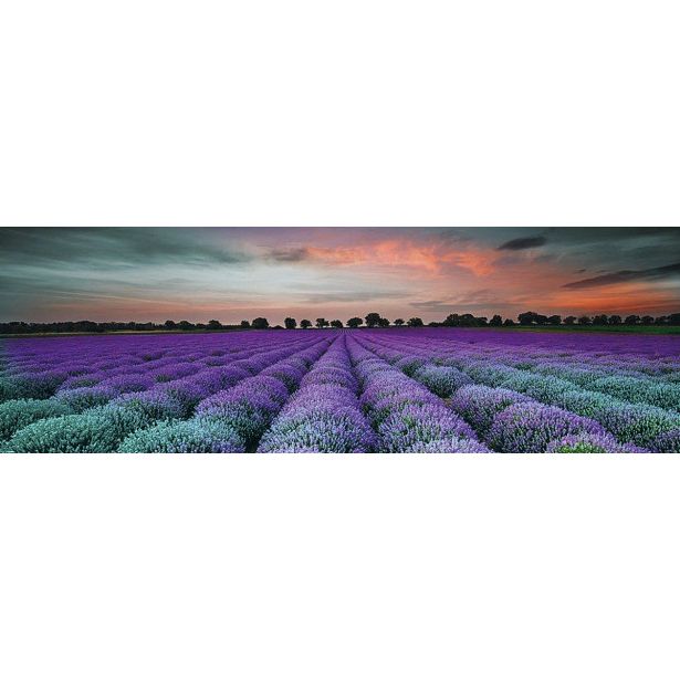 STENSKA PLOŠČICA CERAMICA KONSKIE LAVENDER FIELD GALSS INSERTO 25X75 DEKOR