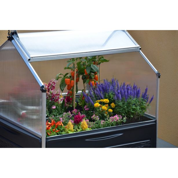 VISOKA GREDA MS VISCOM RASTLINJAK PLANT INN Š118XD118X148